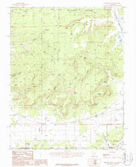 Thompson Point Utah Historical topographic map, 1:24000 scale, 7.5 X 7.5 Minute, Year 1987