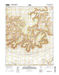 Thompson Point Utah Current topographic map, 1:24000 scale, 7.5 X 7.5 Minute, Year 2014