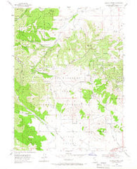 Tickville Spring Utah Historical topographic map, 1:24000 scale, 7.5 X 7.5 Minute, Year 1954