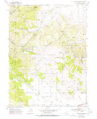Tickville Spring Utah Historical topographic map, 1:24000 scale, 7.5 X 7.5 Minute, Year 1954