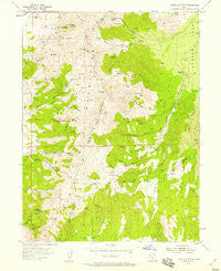 Tintic Mountain Utah Historical topographic map, 1:24000 scale, 7.5 X 7.5 Minute, Year 1954