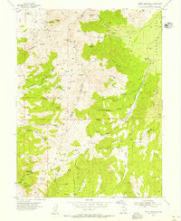 Tintic Mountain Utah Historical topographic map, 1:24000 scale, 7.5 X 7.5 Minute, Year 1954