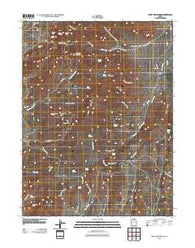 Tintic Mountain Utah Historical topographic map, 1:24000 scale, 7.5 X 7.5 Minute, Year 2010