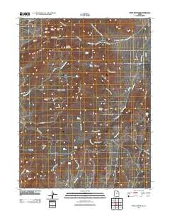 Tintic Mountain Utah Historical topographic map, 1:24000 scale, 7.5 X 7.5 Minute, Year 2010