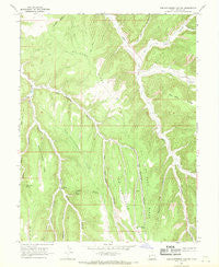 Tom Patterson Canyon Utah Historical topographic map, 1:24000 scale, 7.5 X 7.5 Minute, Year 1966
