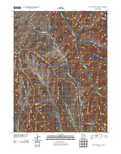 Tom Patterson Canyon Utah Historical topographic map, 1:24000 scale, 7.5 X 7.5 Minute, Year 2011