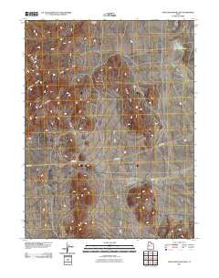 Topaz Mountain East Utah Historical topographic map, 1:24000 scale, 7.5 X 7.5 Minute, Year 2011