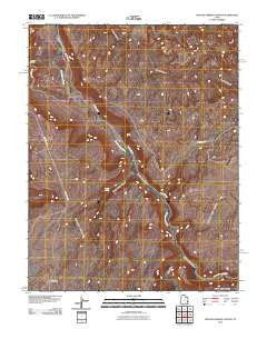 Trough Springs Canyon Utah Historical topographic map, 1:24000 scale, 7.5 X 7.5 Minute, Year 2010