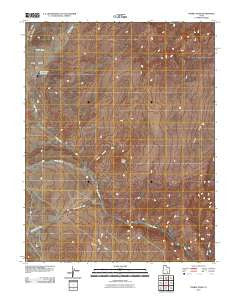 Turkey Knob Utah Historical topographic map, 1:24000 scale, 7.5 X 7.5 Minute, Year 2010