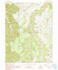 Walker Point Utah Historical topographic map, 1:24000 scale, 7.5 X 7.5 Minute, Year 1991
