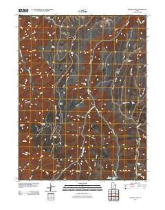 Walker Point Utah Historical topographic map, 1:24000 scale, 7.5 X 7.5 Minute, Year 2011