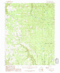 Webster Flat Utah Historical topographic map, 1:24000 scale, 7.5 X 7.5 Minute, Year 1985