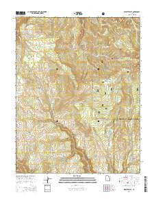 Webster Flat Utah Current topographic map, 1:24000 scale, 7.5 X 7.5 Minute, Year 2014