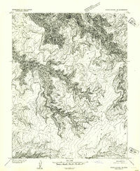 White Canyon 1 NE Utah Historical topographic map, 1:24000 scale, 7.5 X 7.5 Minute, Year 1954
