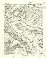 White Canyon 4 NW Utah Historical topographic map, 1:24000 scale, 7.5 X 7.5 Minute, Year 1954