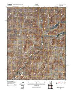 Wickiup Canyon Utah Historical topographic map, 1:24000 scale, 7.5 X 7.5 Minute, Year 2011