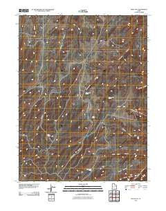 Wolf Flat Utah Historical topographic map, 1:24000 scale, 7.5 X 7.5 Minute, Year 2011