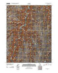 Wolf Point Utah Historical topographic map, 1:24000 scale, 7.5 X 7.5 Minute, Year 2011