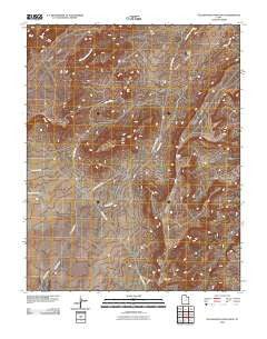 Yellow Rock Point West Utah Historical topographic map, 1:24000 scale, 7.5 X 7.5 Minute, Year 2010