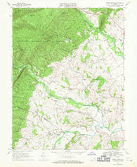 Briery Branch Virginia Historical topographic map, 1:24000 scale, 7.5 X 7.5 Minute, Year 1967