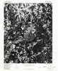 Brosville Virginia Historical topographic map, 1:24000 scale, 7.5 X 7.5 Minute, Year 1977