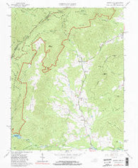 Browns Cove Virginia Historical topographic map, 1:24000 scale, 7.5 X 7.5 Minute, Year 1965