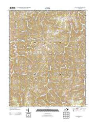 Caney Ridge Virginia Historical topographic map, 1:24000 scale, 7.5 X 7.5 Minute, Year 2013