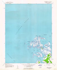 Chesconessex Virginia Historical topographic map, 1:24000 scale, 7.5 X 7.5 Minute, Year 1942