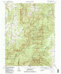 Chester Gap Virginia Historical topographic map, 1:24000 scale, 7.5 X 7.5 Minute, Year 1994