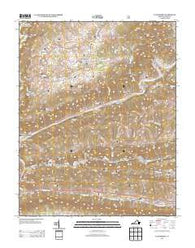 Clinchport Virginia Historical topographic map, 1:24000 scale, 7.5 X 7.5 Minute, Year 2013