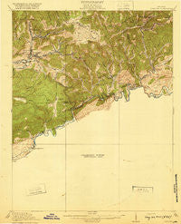 Coeburn Virginia Historical topographic map, 1:62500 scale, 15 X 15 Minute, Year 1920