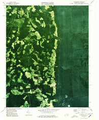 Corapeake North Carolina Historical topographic map, 1:24000 scale, 7.5 X 7.5 Minute, Year 1977