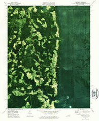 Corapeake North Carolina Historical topographic map, 1:24000 scale, 7.5 X 7.5 Minute, Year 1977