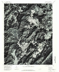 Covesville Virginia Historical topographic map, 1:24000 scale, 7.5 X 7.5 Minute, Year 1979