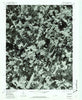Earlysville Virginia Historical topographic map, 1:24000 scale, 7.5 X 7.5 Minute, Year 1977
