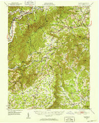 Elliston Virginia Historical topographic map, 1:62500 scale, 15 X 15 Minute, Year 1950