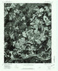 Esmont Virginia Historical topographic map, 1:24000 scale, 7.5 X 7.5 Minute, Year 1979