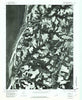 Franktown Virginia Historical topographic map, 1:24000 scale, 7.5 X 7.5 Minute, Year 1977