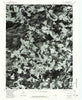 Free Union Virginia Historical topographic map, 1:24000 scale, 7.5 X 7.5 Minute, Year 1977