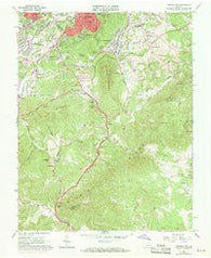 Garden City Virginia Historical topographic map, 1:24000 scale, 7.5 X 7.5 Minute, Year 1963