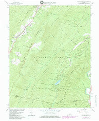 Healing Springs Virginia Historical topographic map, 1:24000 scale, 7.5 X 7.5 Minute, Year 1966