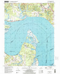 Hog Island Virginia Historical topographic map, 1:24000 scale, 7.5 X 7.5 Minute, Year 1999