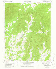 Horseshoe Mountain Virginia Historical topographic map, 1:24000 scale, 7.5 X 7.5 Minute, Year 1967