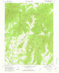 Horseshoe Mountain Virginia Historical topographic map, 1:24000 scale, 7.5 X 7.5 Minute, Year 1967
