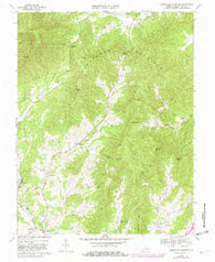 Horseshoe Mountain Virginia Historical topographic map, 1:24000 scale, 7.5 X 7.5 Minute, Year 1967