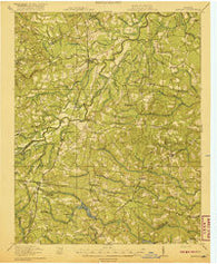 Jarratt Virginia Historical topographic map, 1:62500 scale, 15 X 15 Minute, Year 1919