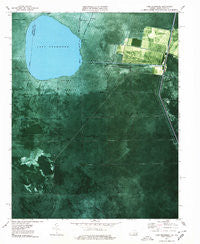 Lake Drummond Virginia Historical topographic map, 1:24000 scale, 7.5 X 7.5 Minute, Year 1977