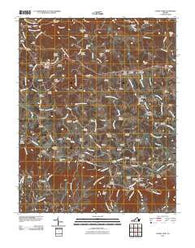 Laurel Fork Virginia Historical topographic map, 1:24000 scale, 7.5 X 7.5 Minute, Year 2010