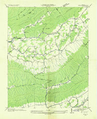 Nebo Virginia Historical topographic map, 1:24000 scale, 7.5 X 7.5 Minute, Year 1935