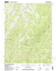 Palo Alto Virginia Historical topographic map, 1:24000 scale, 7.5 X 7.5 Minute, Year 1999